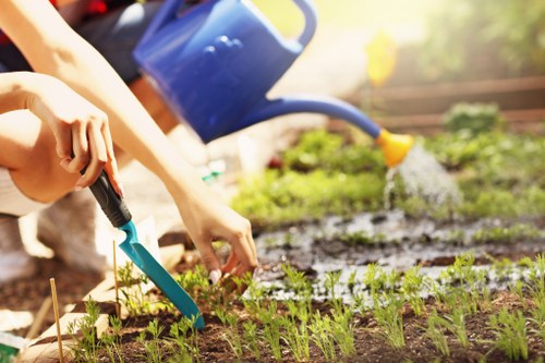 Gardening services in Petersham maintaining a neat residential garden