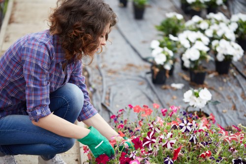 Landscape gardening in Petersham with lush planting and paved outdoor areas