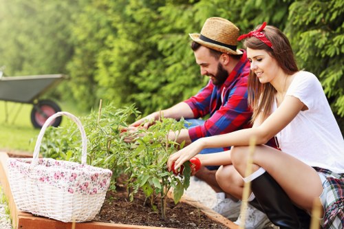 Professional lawn care in Petersham with fertilising and mowing work