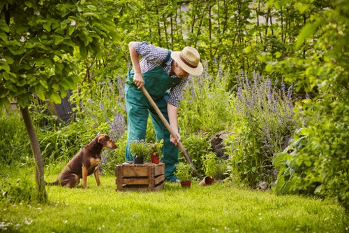 Garden service pricing discussion for a Petersham property