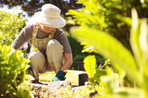 Garden maintenance work in a Petersham residential garden