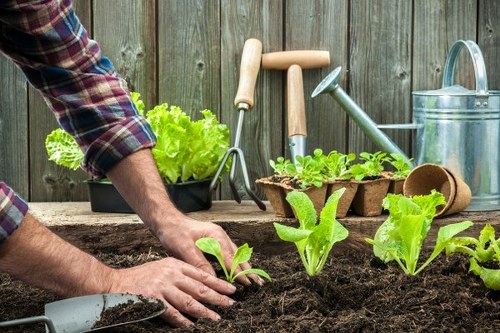 Gardening team introduction in Petersham with local outdoor care