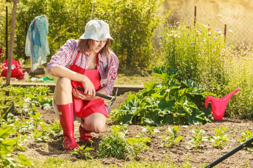 Seasonal lawn care and mowing for a Petersham backyard