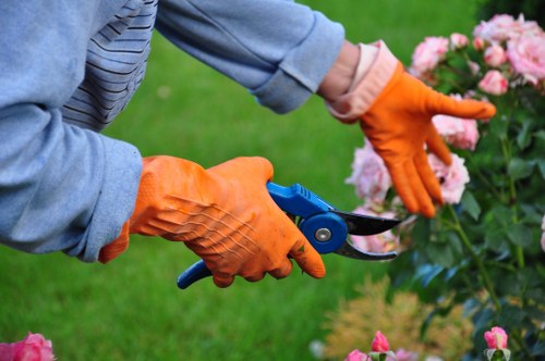 Gardeners Petersham shaping hedges and refreshing mature landscape areas