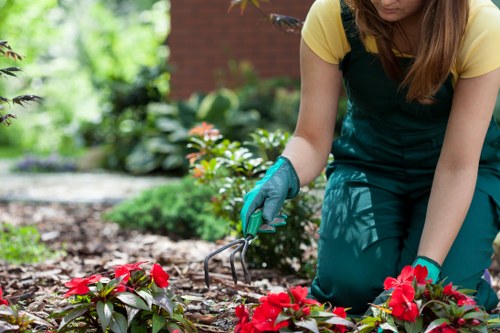 Sustainable gardening and waste separation in Petersham