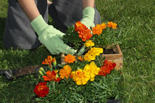 Professional discussing a complaint resolution for garden work