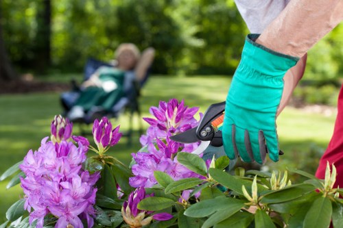 Team assessing a gardening service issue during review