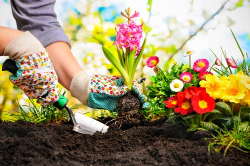 Professional gardeners in Petersham working on healthy garden maintenance