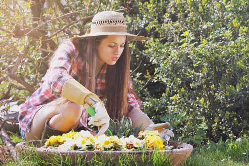 Lawn mowing and hedge care for a Petersham property