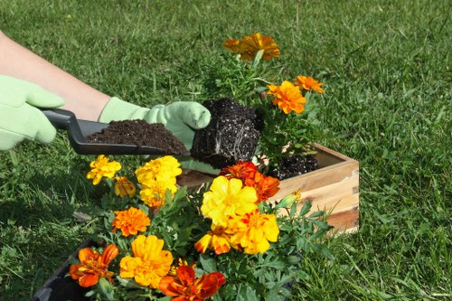 Seasonal lawn care in Petersham improving turf health and curb appeal