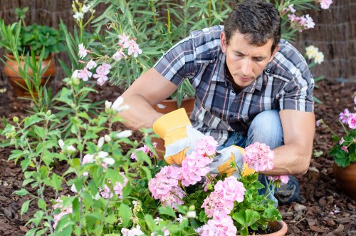 Annual review of modern slavery controls for gardeners