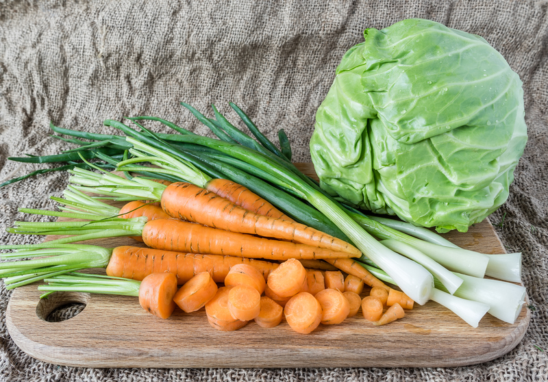 garden outdoor space