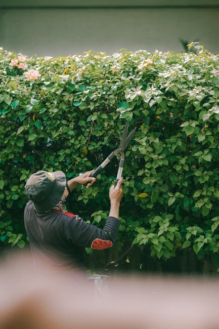 A person wearing a grey sweater, dark trousers, and a maroon hat is using a wheelbarrow filled with tall, green leafy plants inside a greenhouse or garden center. The surrounding environment features 